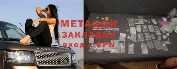 сатива Туринск