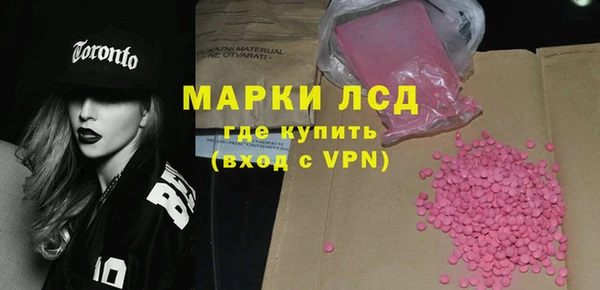 ECSTASY Гусь-Хрустальный