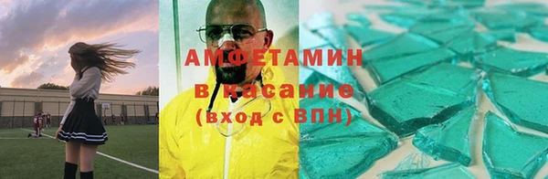 ECSTASY Гусь-Хрустальный