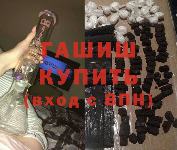 сатива Туринск