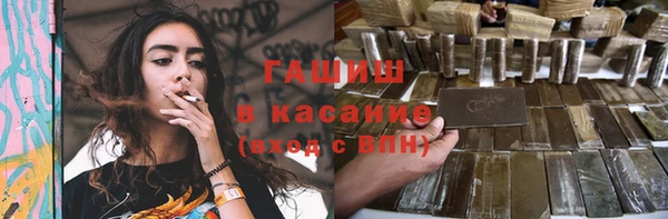 сатива Туринск
