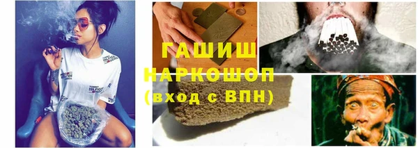 сатива Туринск