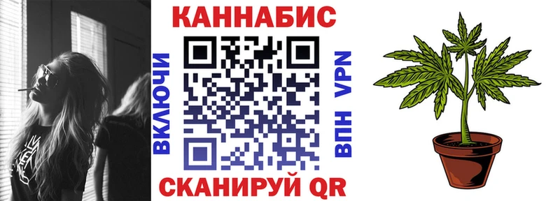 Марихуана OG Kush Фрязино